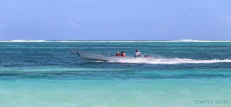 Punta Cana Angelzone