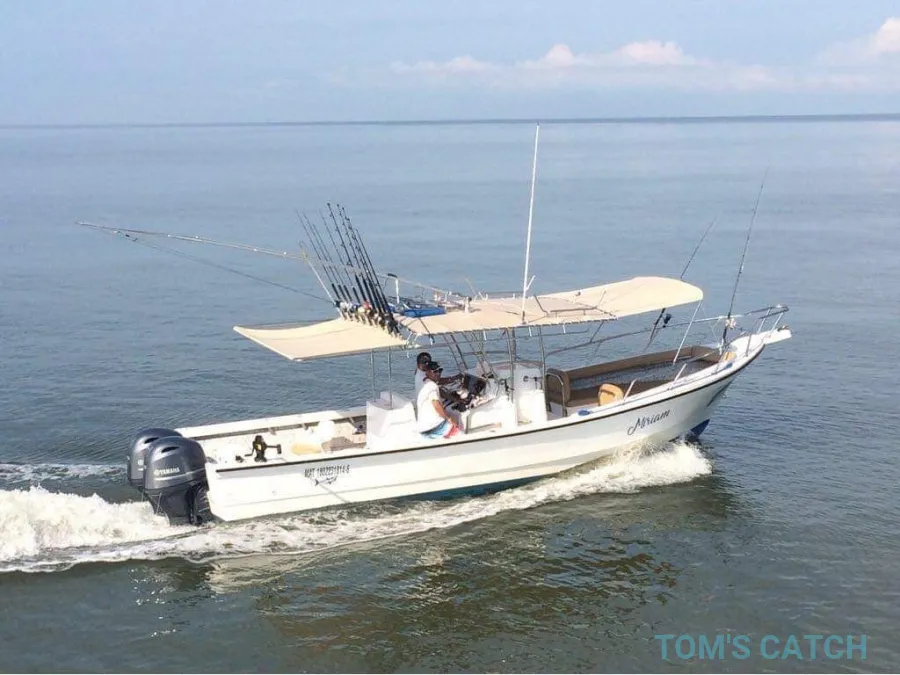 30 ft Super Panga 