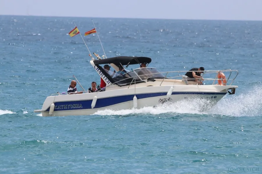 Faeton Sport 739
