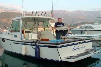 Galex Fish