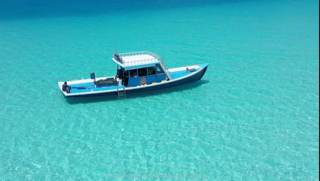 Game Fisher Maldives 