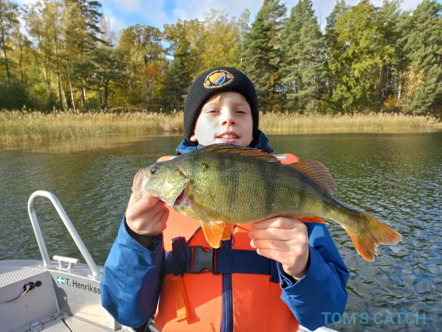 Lake Mälaren - Anytec 622 SPF