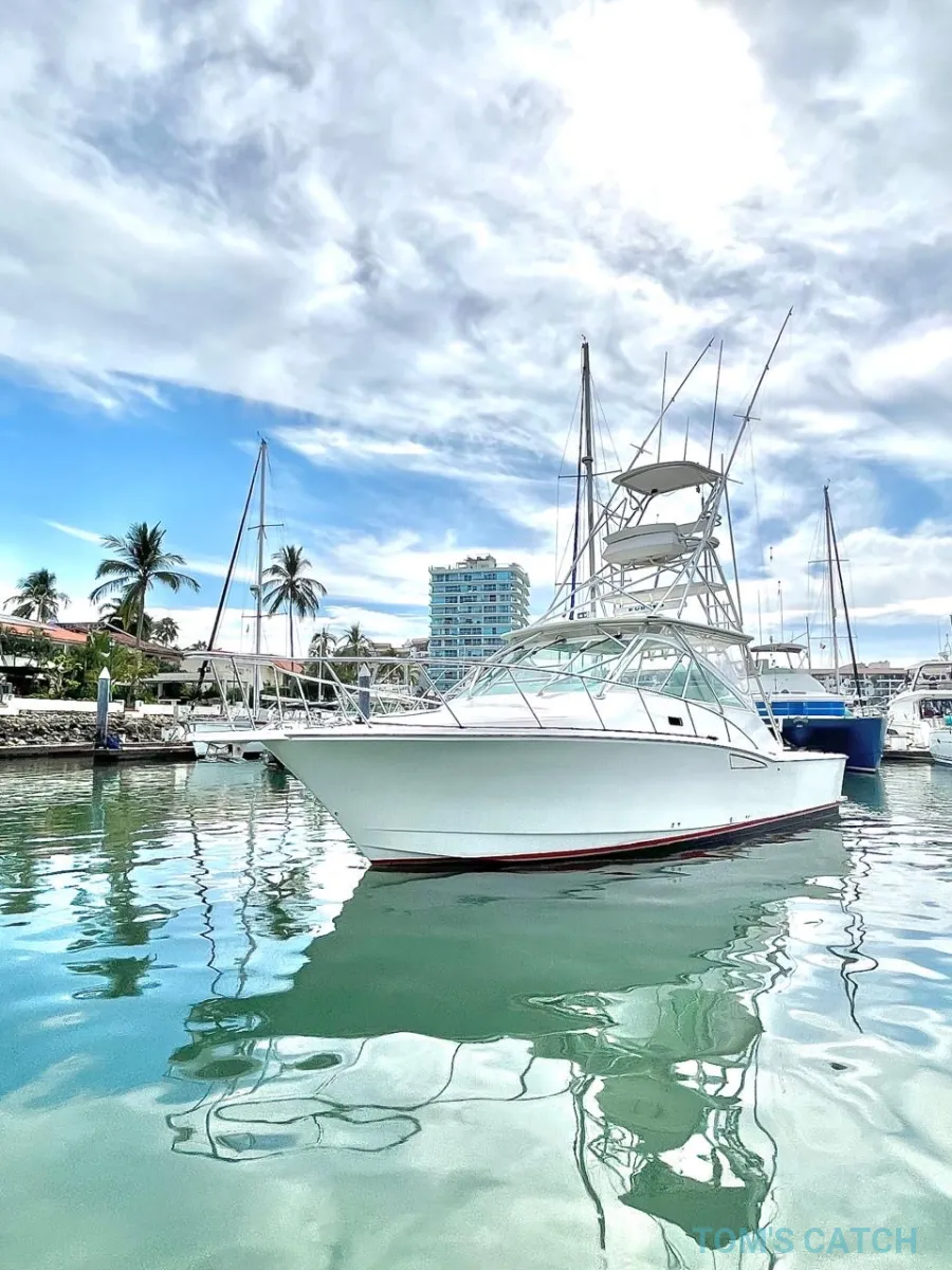 Luxury 35 Cabo Express 