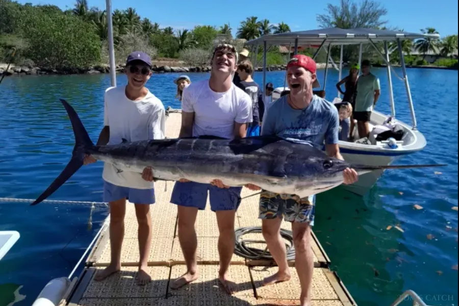 Moorea Evasion - Kokopu Nui