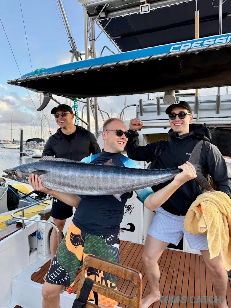 New Kleie Charters 
