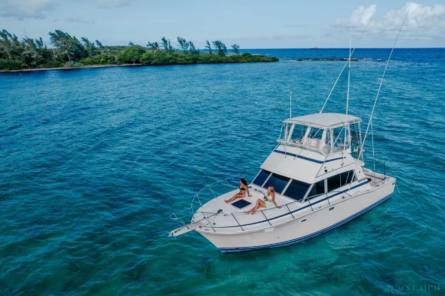 Pescado Aventuras - Bertram 38