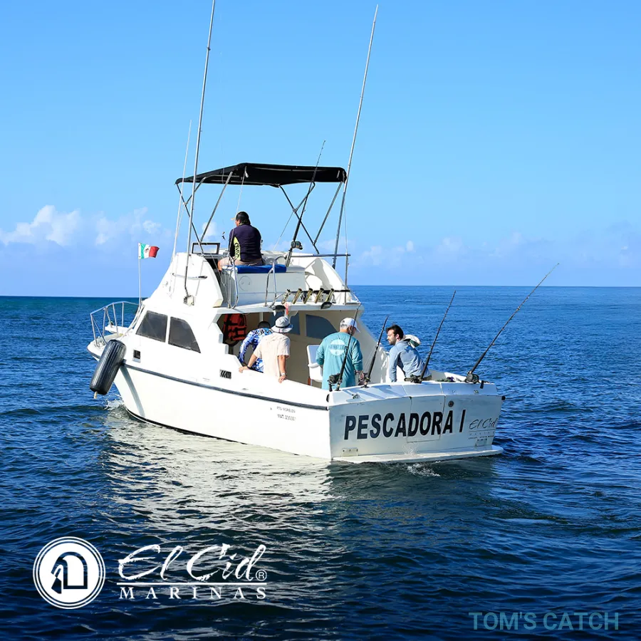 Pescadora I at Marina El Cid