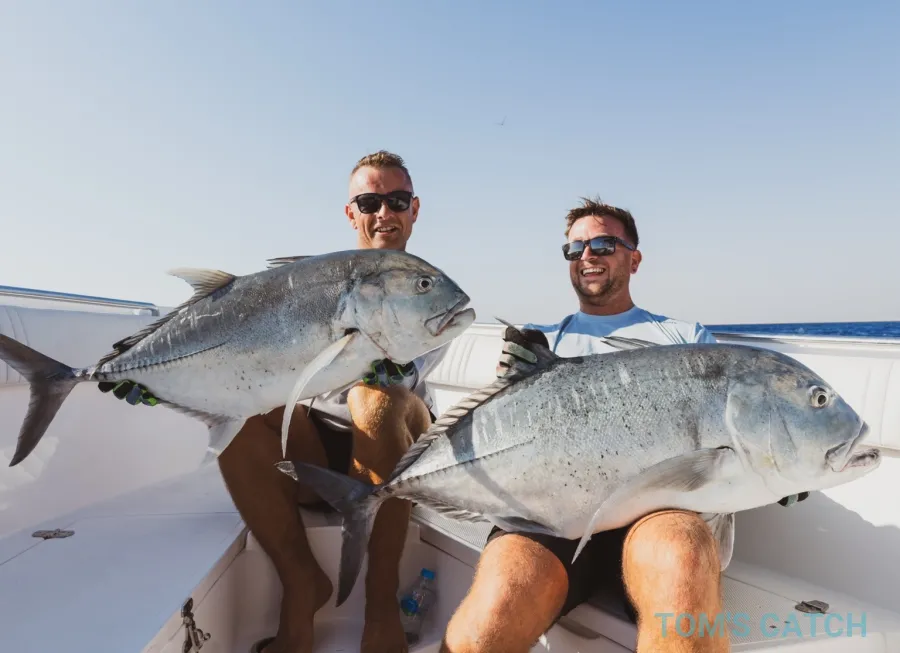 Reefer X Boat - El Gouna