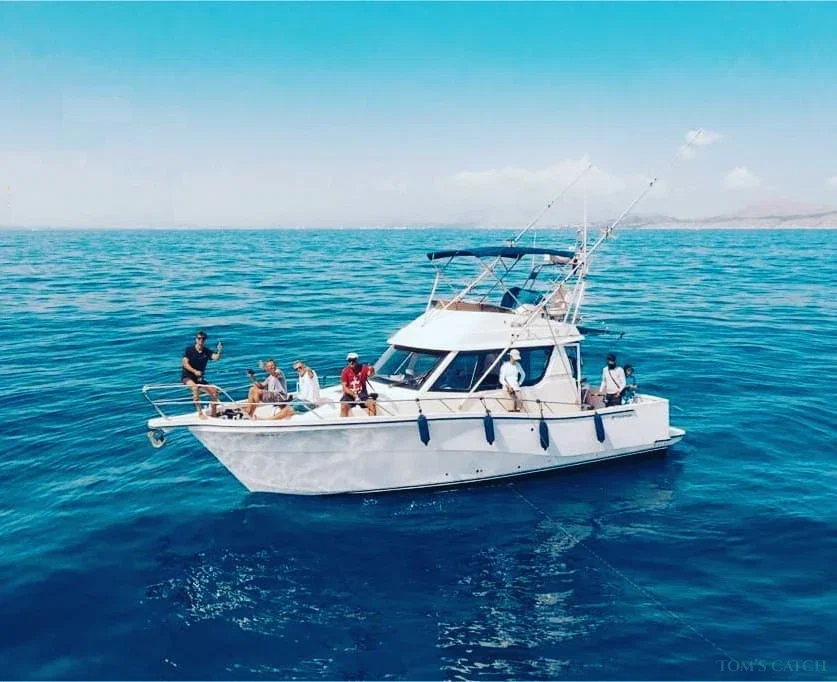 Royal Charters Mallorca Rodman 1250