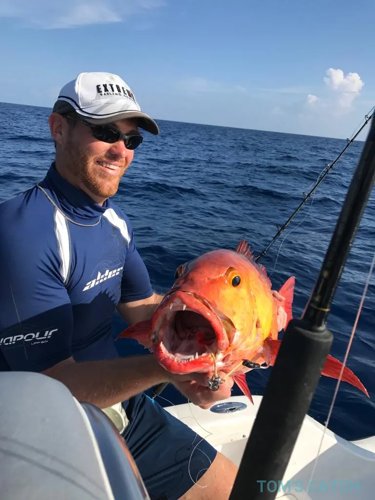 Valkyrie Maldives Charters