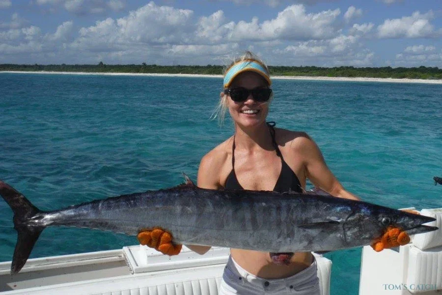 Wasabi 38 Luhrs Express