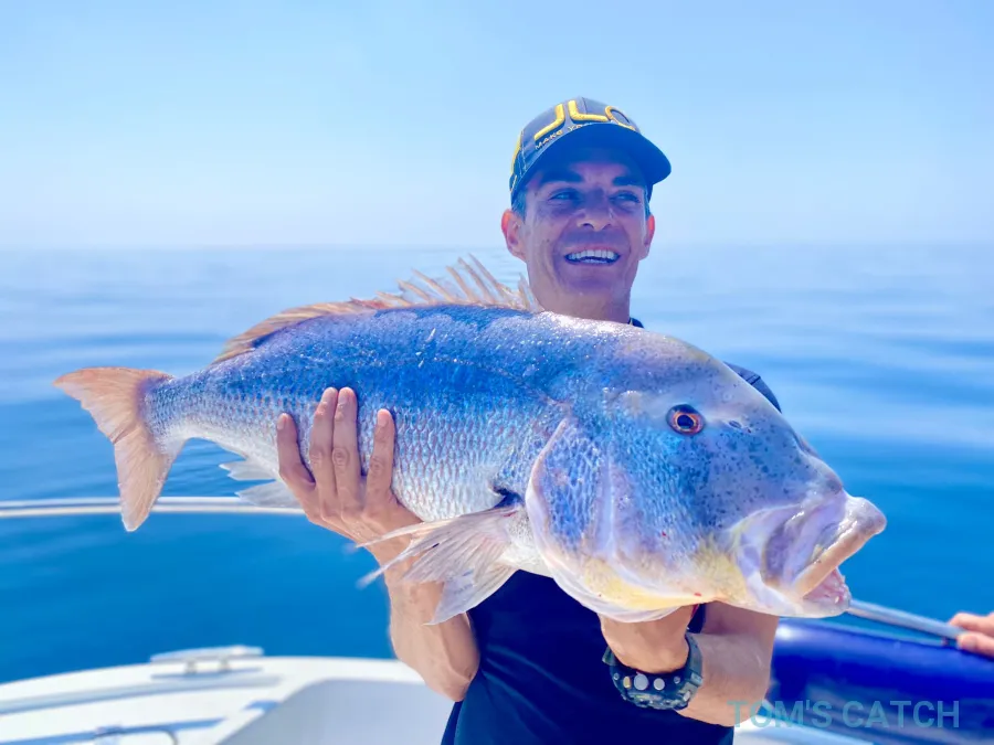 Aris Profishing Alicante