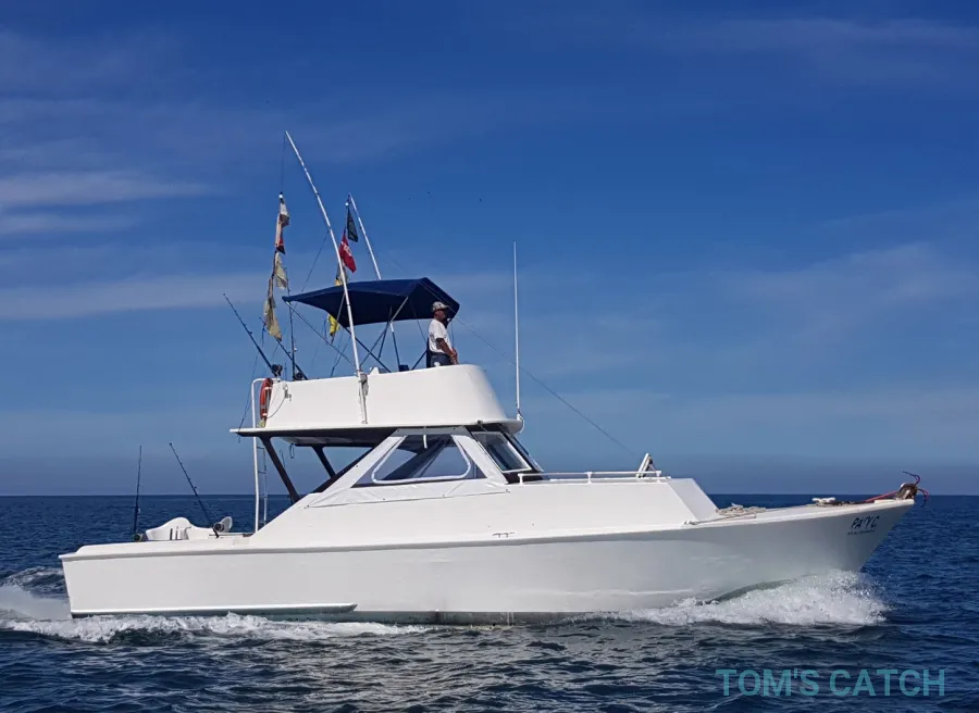 Bibi Fleet Sportfishing
