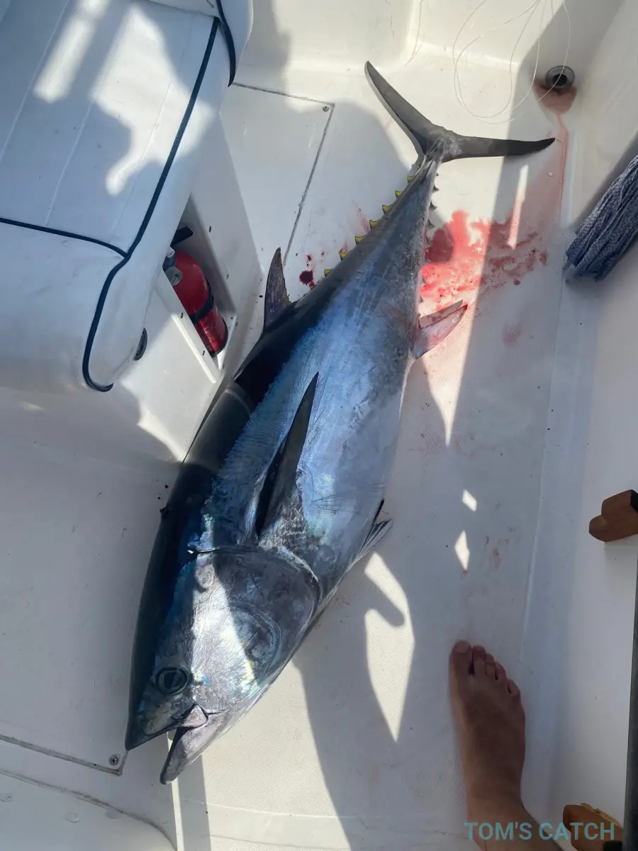Big Catch Fishing Charter