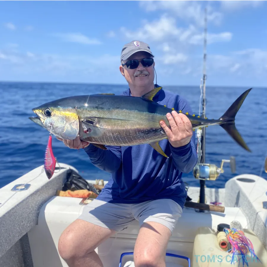 Bluefin Tuna