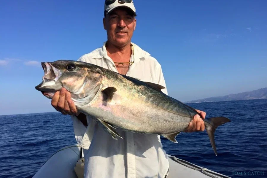 Boston Whaler Outrage 25