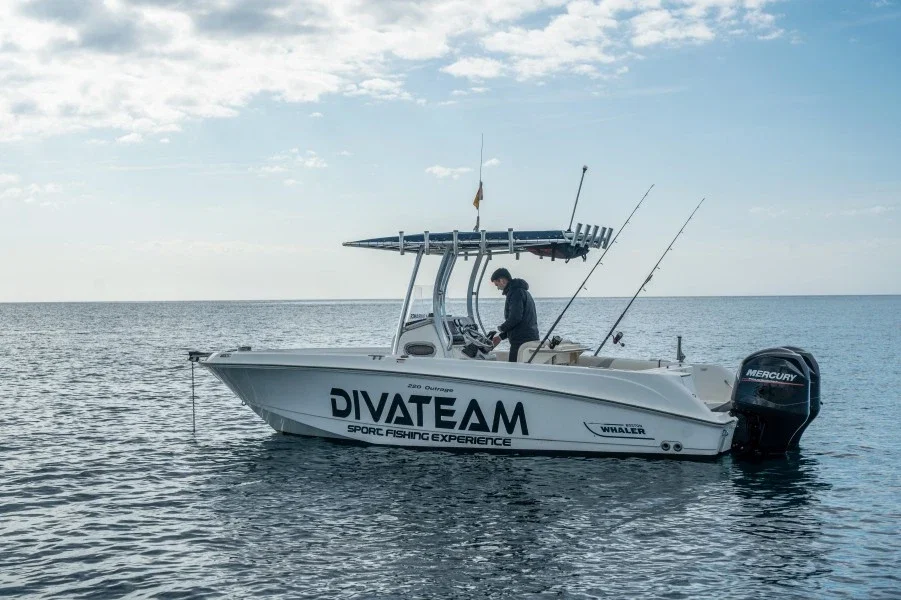 Boston Whaler Outrage 