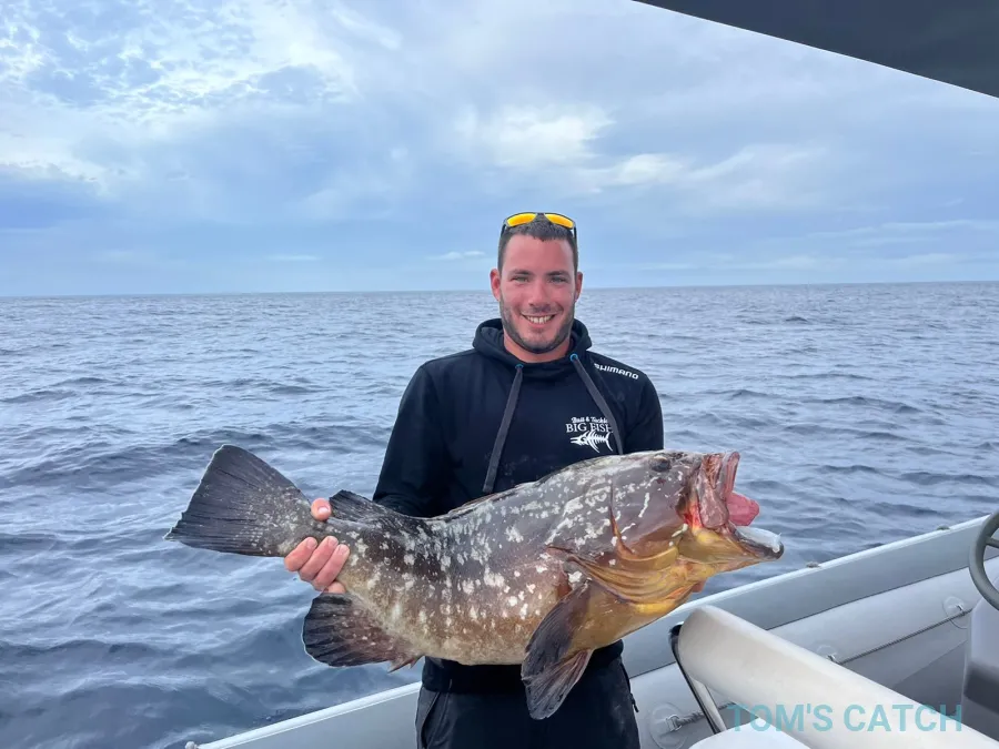 Buona Pesca - Fish & Trips