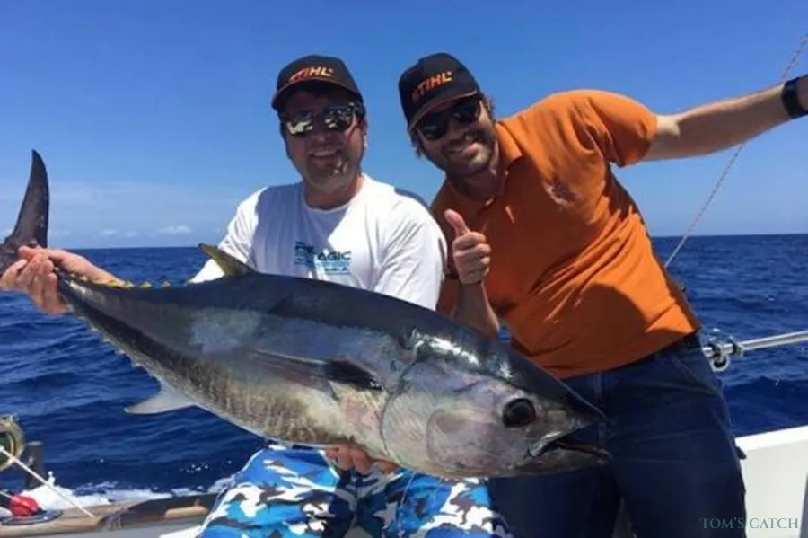 Grady White 282 Sailfish