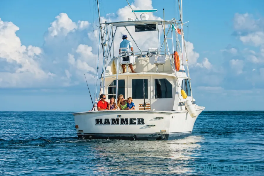 Hammer at Marina El Cid