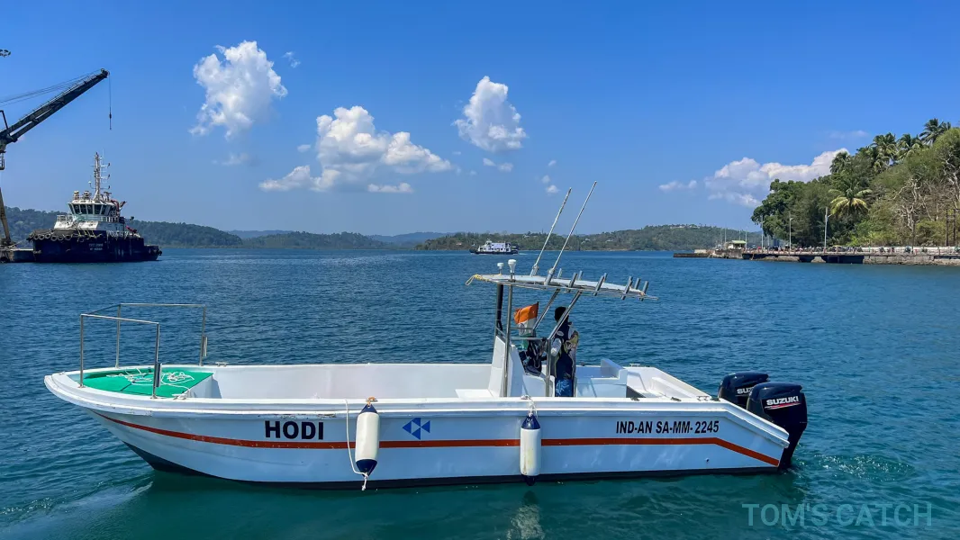 Hodi
