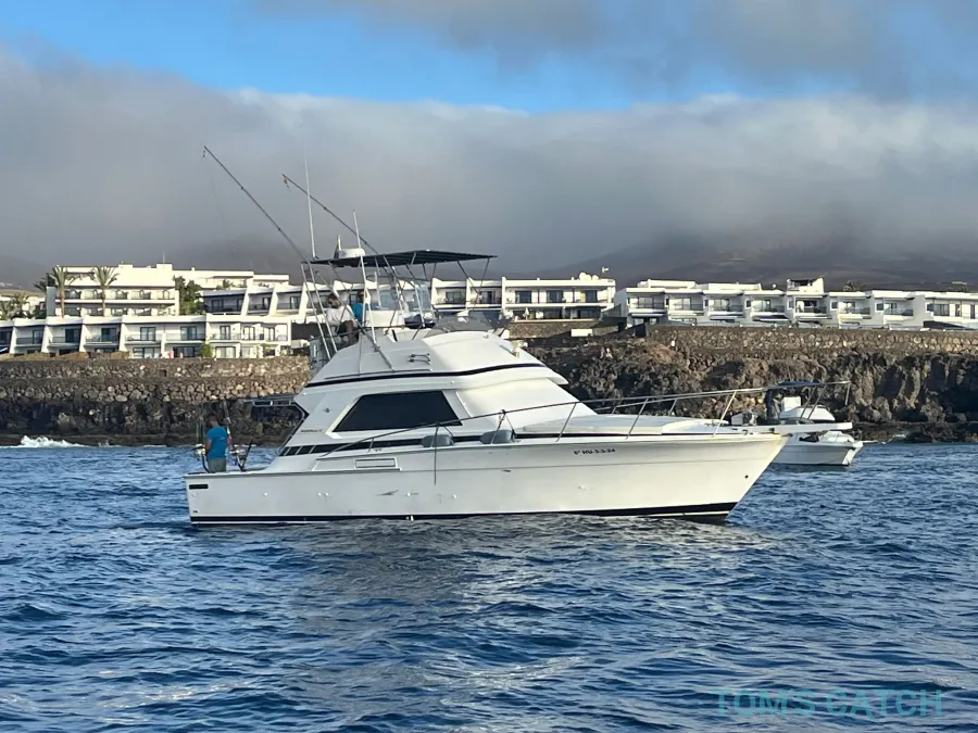 Macaronesia Lanzarote