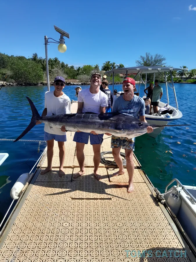 Moorea Evasion - Kokopu Nui