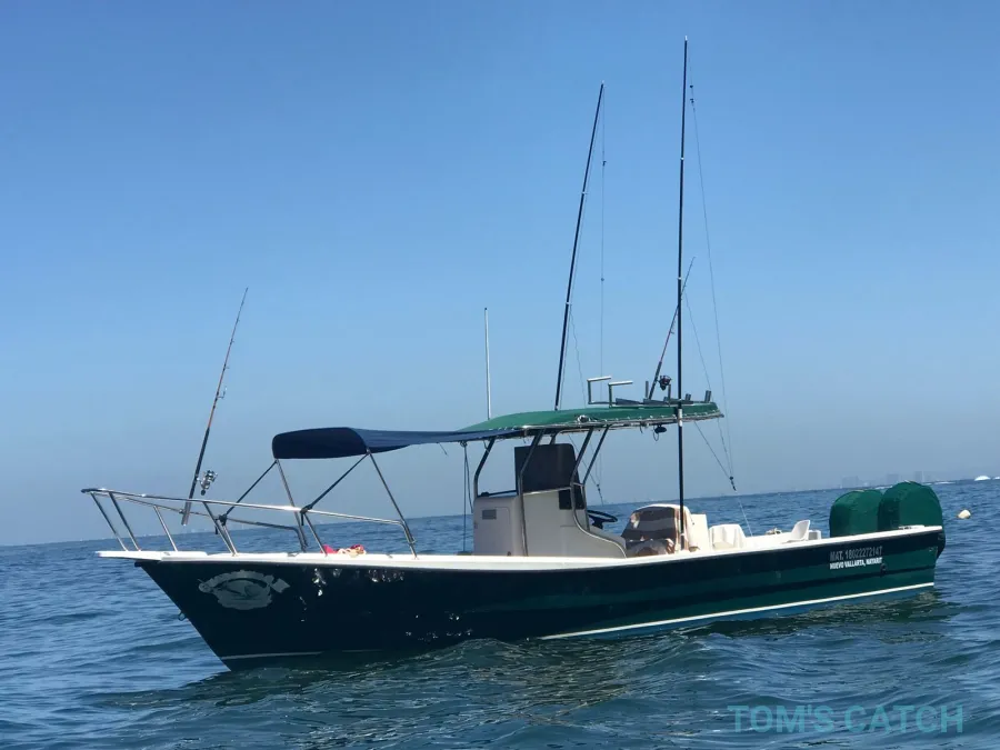 Nuevo Vallarta fishing Charter 