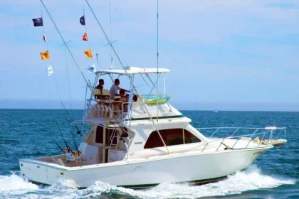 Royal Charters Mallorca