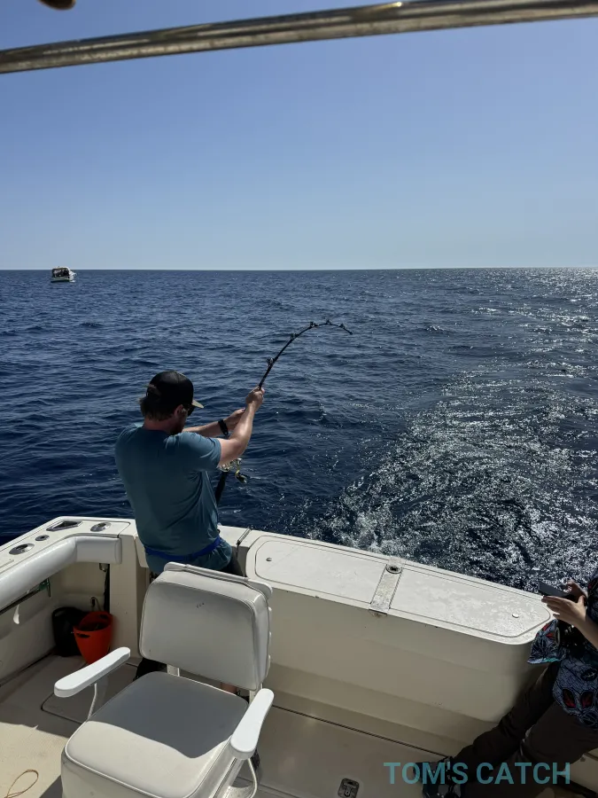 Sardinia Fishing Charter