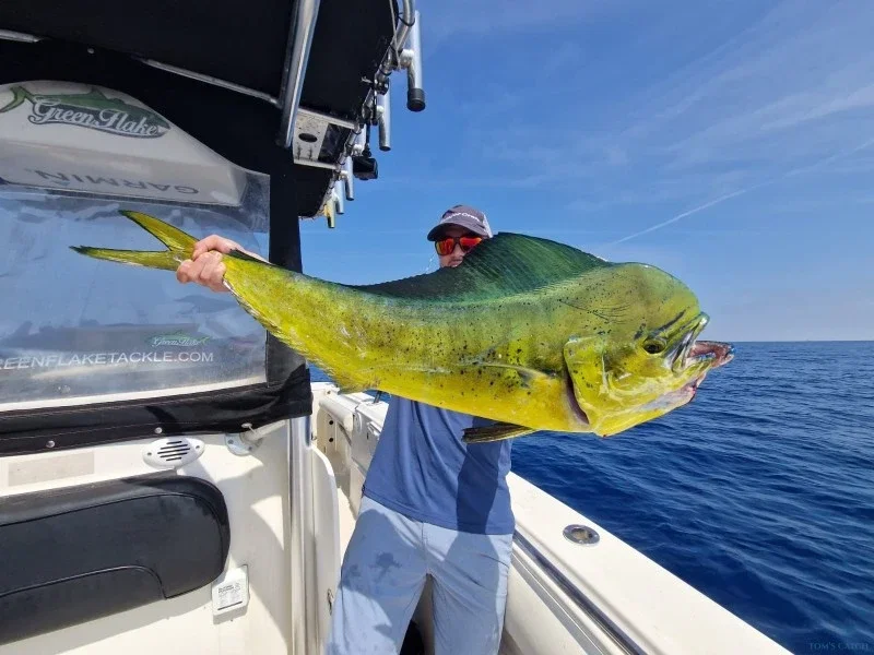 Scout 260/262 Sportfish_VALENCIA