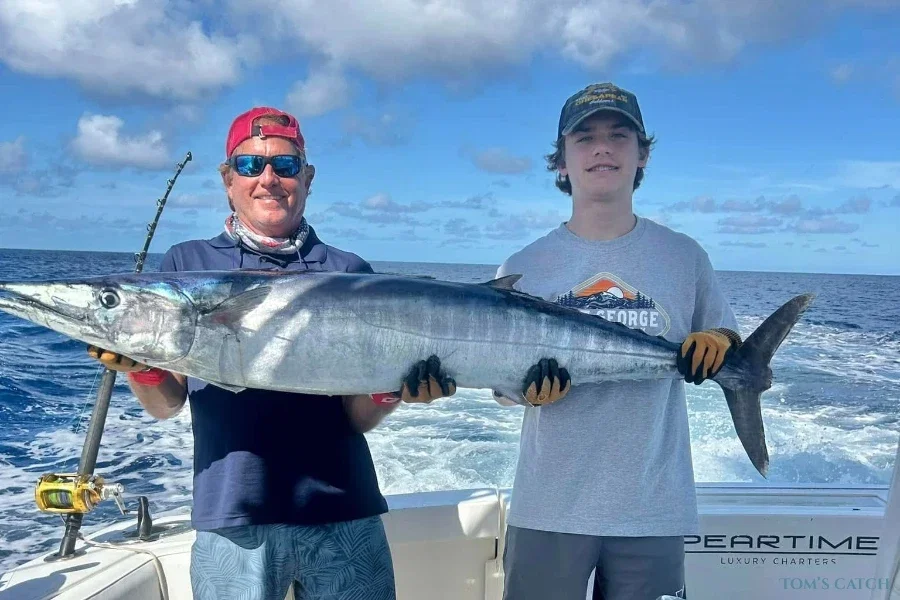 Wicked Wahoo