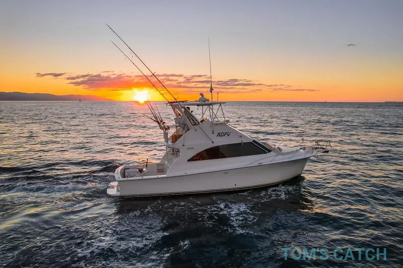 40 ft Luxury Sportfisher 