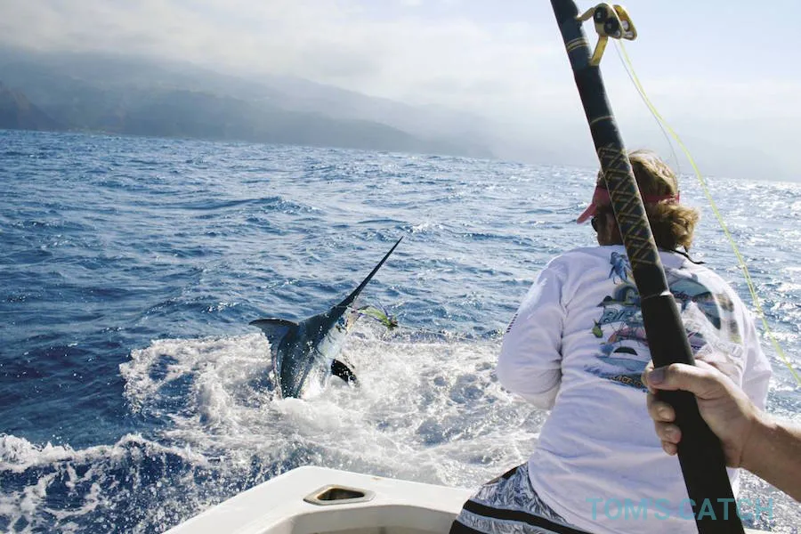 Balancal Big Game Fishing