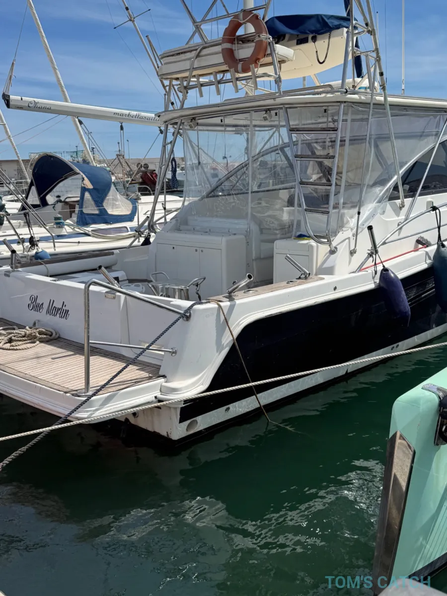 Blue Marlin