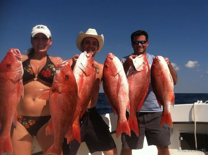 Fishing in Hurghada II