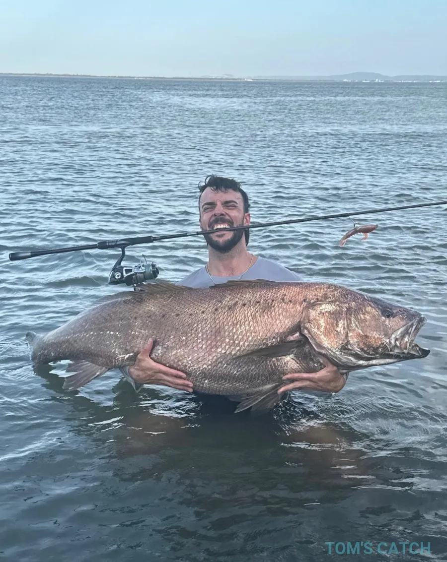 Lisbon fish
