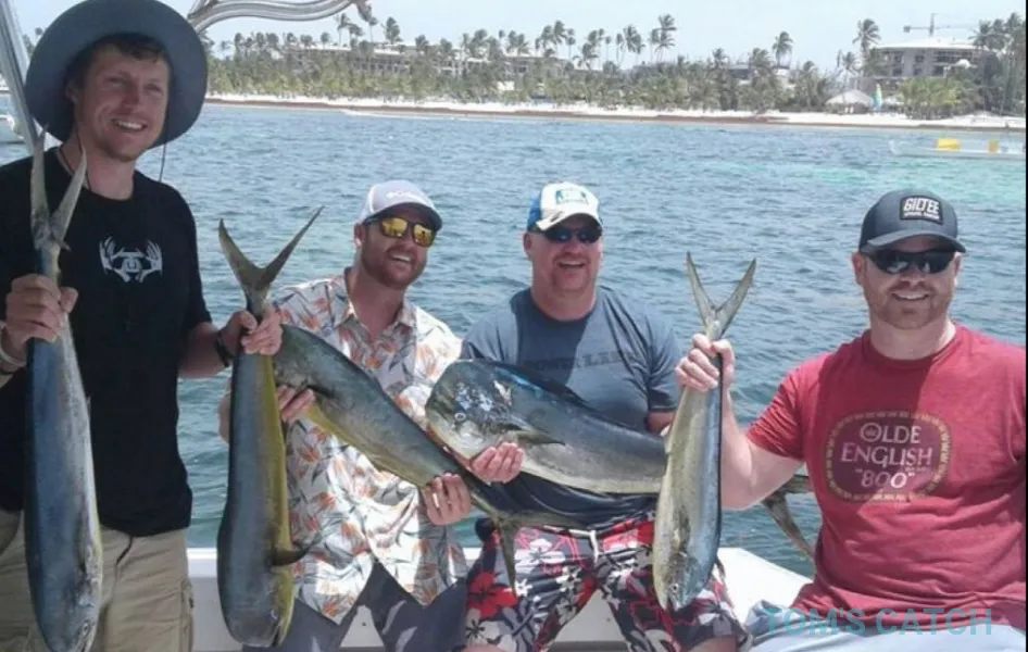 Pescando Y Comiendo - Orion