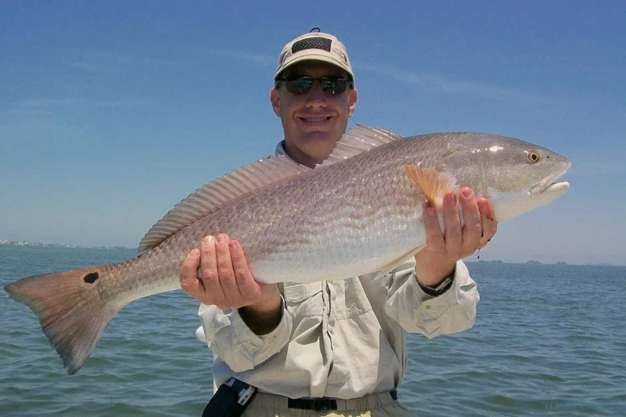 Skinny Water Charters