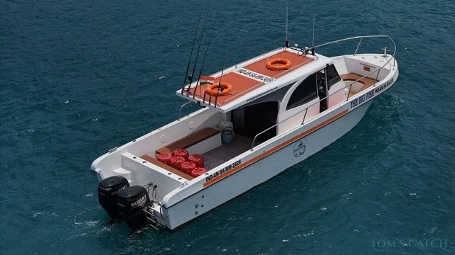 The Big Fish