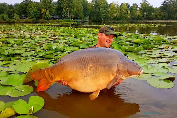 Pêche de Carpe