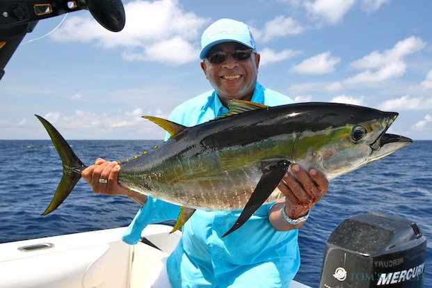 Atún de aleta amarilla Pesca