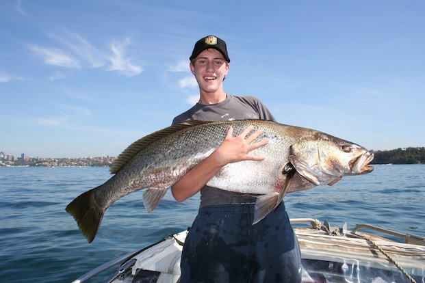 Croaker a macchia nera Pesca