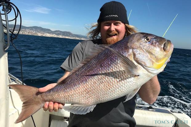 Dentice Pesca