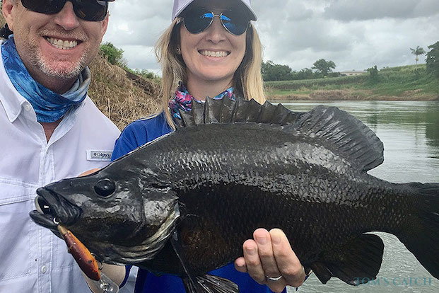 Gruntero negro Pesca