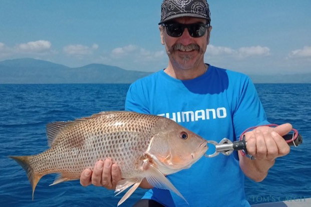 Pesca de Johns snapper