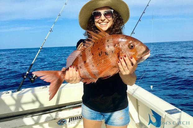 Orata dal ciuffo rosso Pesca