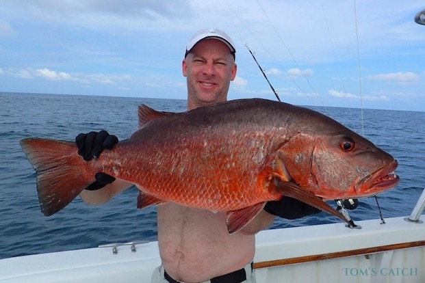 Pargo cubera Pesca