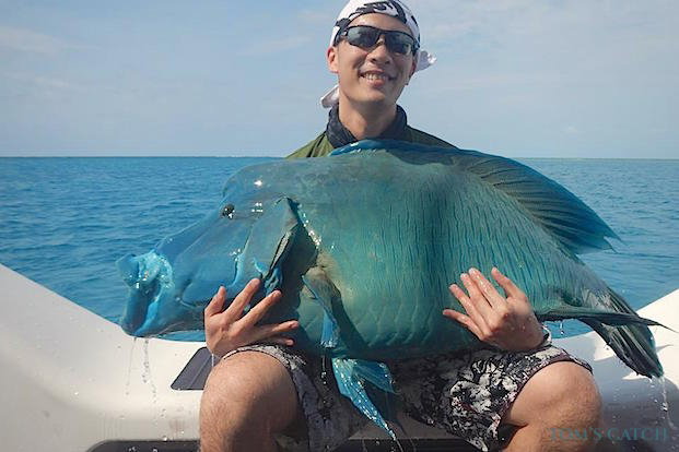 Bodião-cabeçudo Pesca