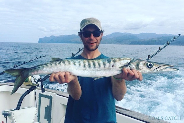 Europäische Barrakuda fischen